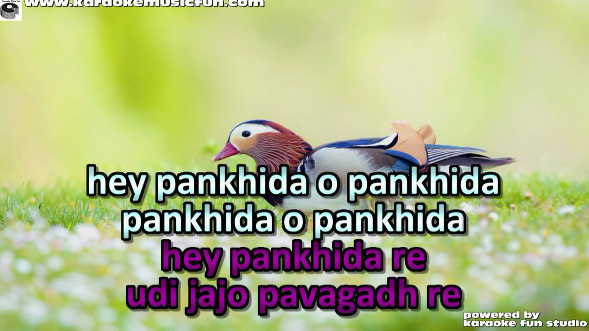 hey pankhida re udi jajo