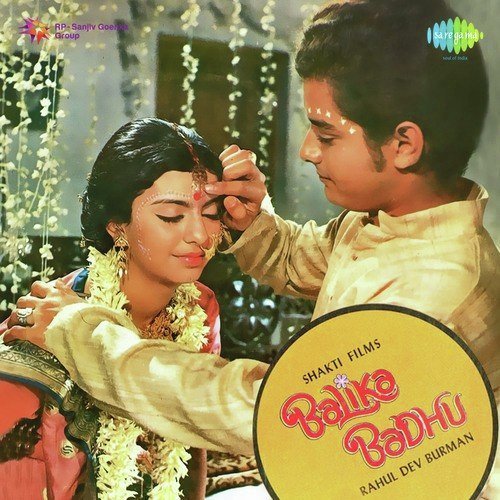Bade Achche Lagte Hai Duet Video Karaoke With Lyrics.mp4