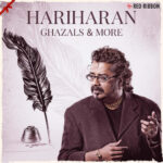 Ajnabi Hain Na Hum Paraye Hai Ghazal Karaoke.mp3
